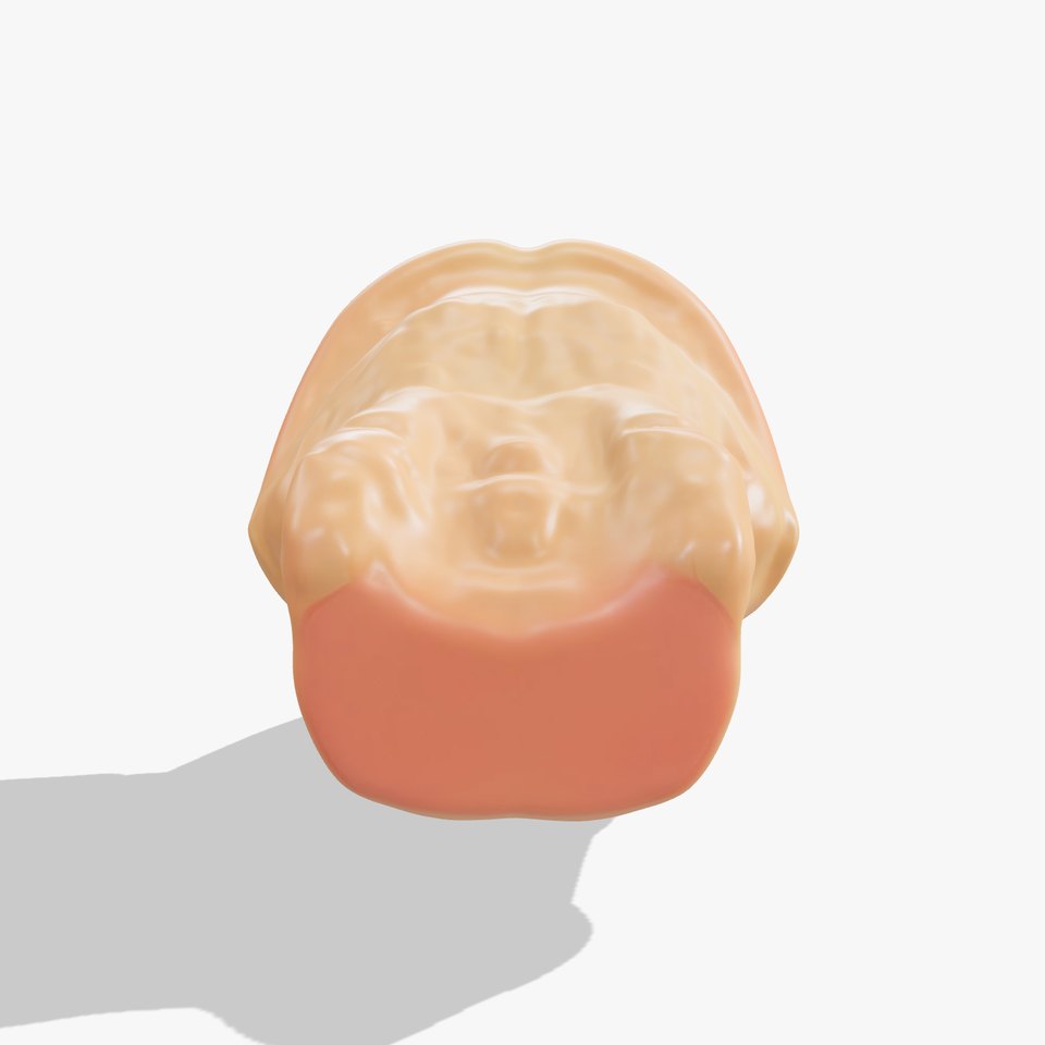 Realistic Open Mouth model pack